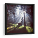 Rayos de sol | Cuadro decorativo de Canvas Lab