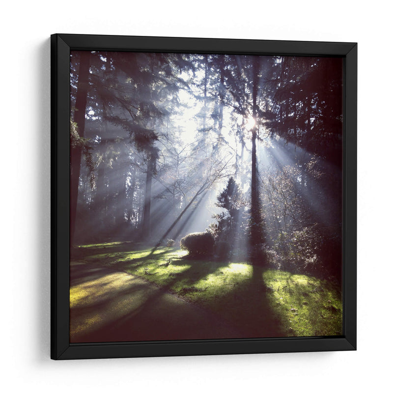 Rayos de sol | Cuadro decorativo de Canvas Lab