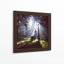 Rayos de sol | Cuadro decorativo de Canvas Lab