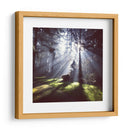 Rayos de sol | Cuadro decorativo de Canvas Lab