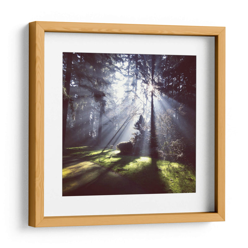 Rayos de sol | Cuadro decorativo de Canvas Lab