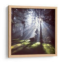 Rayos de sol | Cuadro decorativo de Canvas Lab