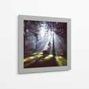 Rayos de sol | Cuadro decorativo de Canvas Lab