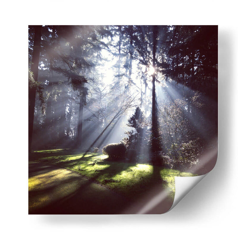 Rayos de sol | Cuadro decorativo de Canvas Lab