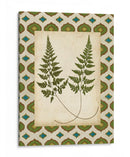 Helechos Marroquíes I - Vision Studio | Cuadro decorativo de Canvas Lab