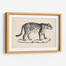 Leopardo Masculino Brodtmann - Brodtmann | Cuadro decorativo de Canvas Lab