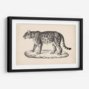 Brodtmann Leopardo Femenino - Brodtmann | Cuadro decorativo de Canvas Lab