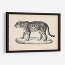 Brodtmann Leopardo Femenino - Brodtmann | Cuadro decorativo de Canvas Lab
