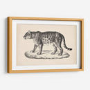 Brodtmann Leopardo Femenino - Brodtmann | Cuadro decorativo de Canvas Lab