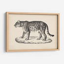 Brodtmann Leopardo Femenino - Brodtmann | Cuadro decorativo de Canvas Lab