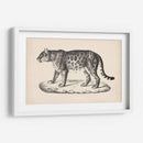 Brodtmann Leopardo Femenino - Brodtmann | Cuadro decorativo de Canvas Lab