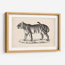 Brodtmann Masculino Tigre - Brodtmann | Cuadro decorativo de Canvas Lab