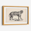 Brodtmann Tigre Femenino - Brodtmann | Cuadro decorativo de Canvas Lab