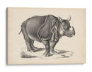 Brodtmann Rhinoceros - Brodtmann | Cuadro decorativo de Canvas Lab