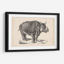Brodtmann Rhinoceros - Brodtmann | Cuadro decorativo de Canvas Lab