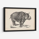 Brodtmann Rhinoceros - Brodtmann | Cuadro decorativo de Canvas Lab