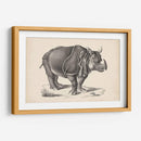 Brodtmann Rhinoceros - Brodtmann | Cuadro decorativo de Canvas Lab