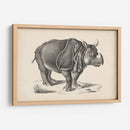 Brodtmann Rhinoceros - Brodtmann | Cuadro decorativo de Canvas Lab