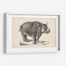 Brodtmann Rhinoceros - Brodtmann | Cuadro decorativo de Canvas Lab