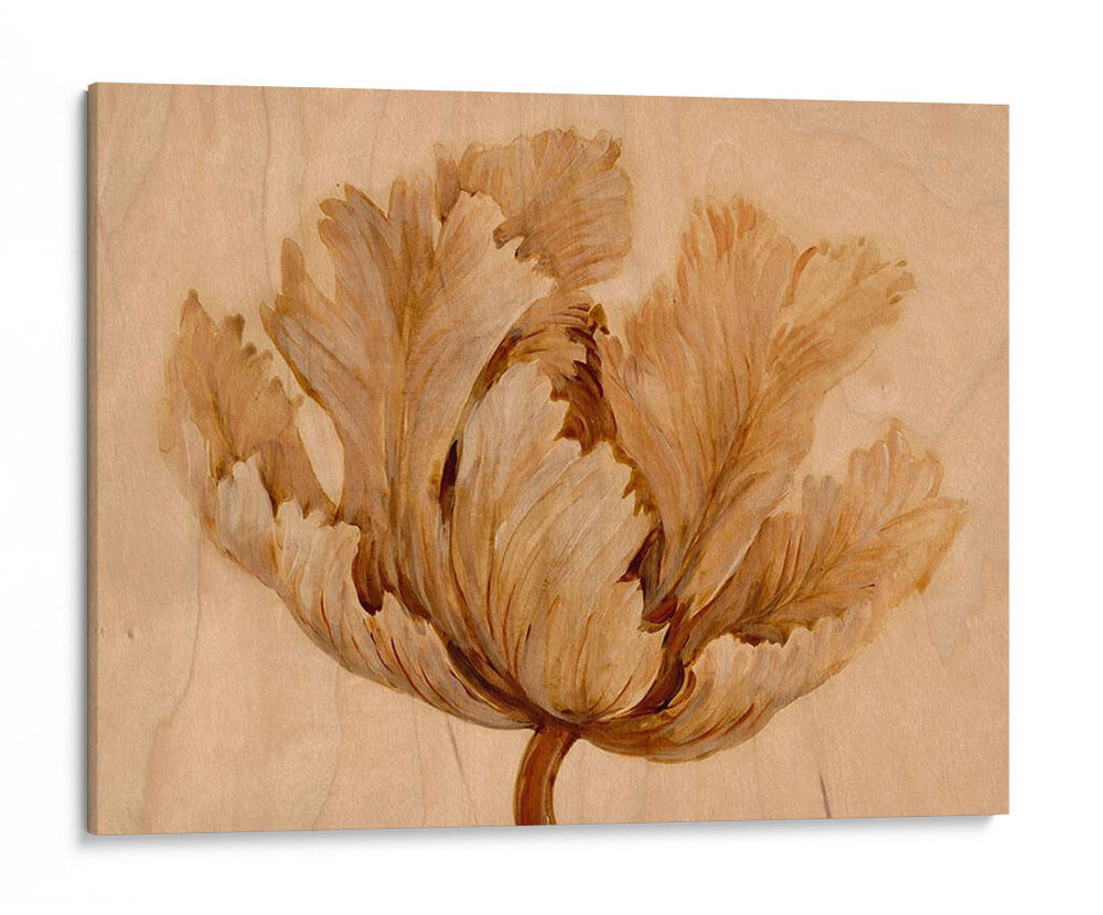 Sepia Tulip En Birch I - Tim OToole | Cuadro decorativo de Canvas Lab
