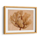 Sepia Tulip En Birch I - Tim OToole | Cuadro decorativo de Canvas Lab