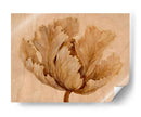 Sepia Tulip En Birch I - Tim OToole | Cuadro decorativo de Canvas Lab