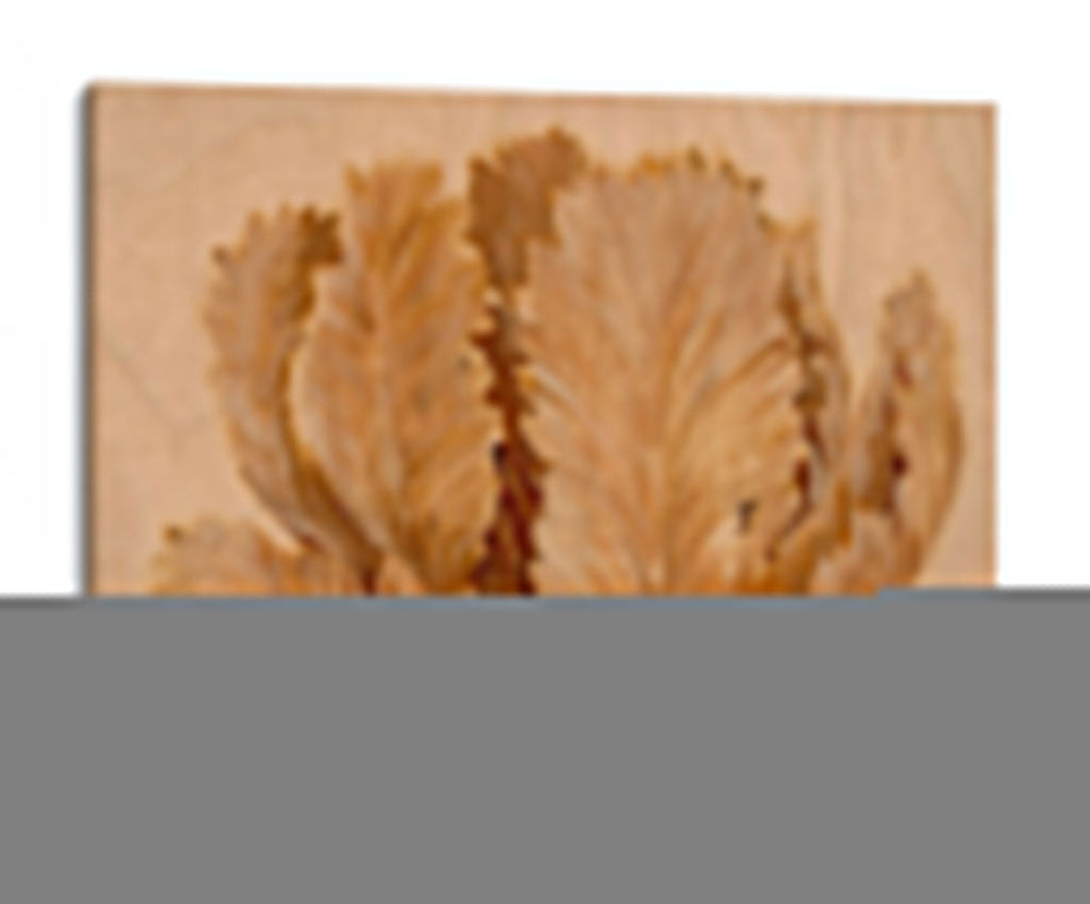 Sepia Tulip En Birch Ii - Tim OToole | Cuadro decorativo de Canvas Lab