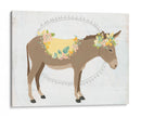 Dainty Burro Ii - June Erica Vess | Cuadro decorativo de Canvas Lab