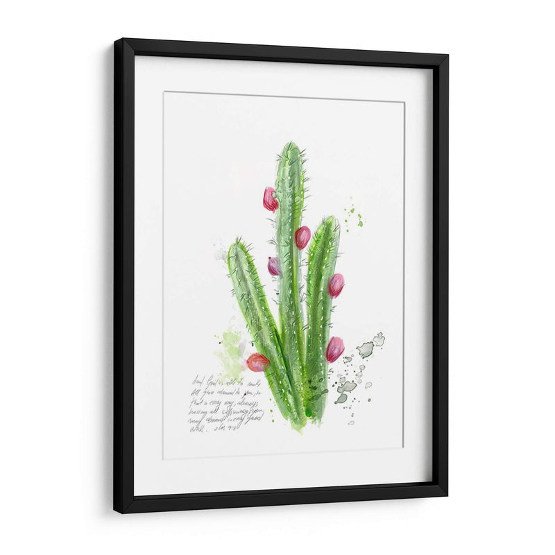 Cactus Verso Ii - Ingrid Blixt | Cuadro decorativo de Canvas Lab