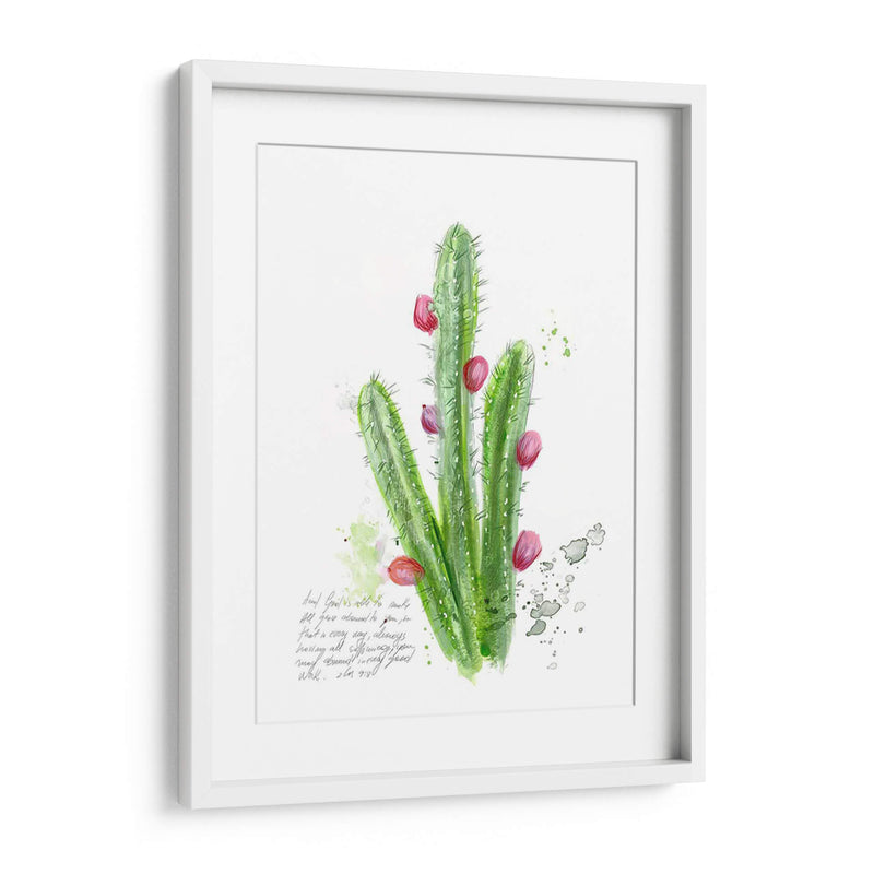 Cactus Verso Ii - Ingrid Blixt | Cuadro decorativo de Canvas Lab