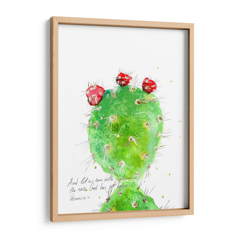 Cactus Verso Iv - Ingrid Blixt | Cuadro decorativo de Canvas Lab