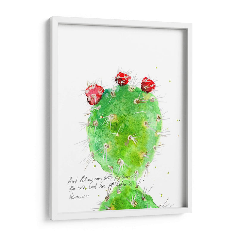 Cactus Verso Iv - Ingrid Blixt | Cuadro decorativo de Canvas Lab