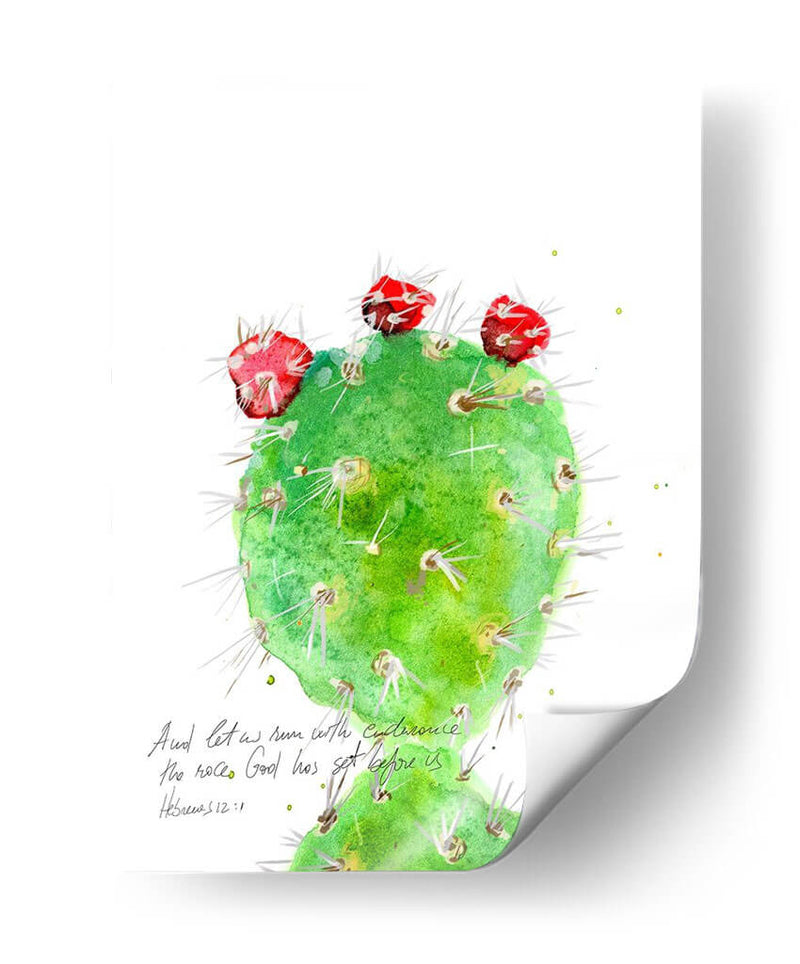 Cactus Verso Iv - Ingrid Blixt | Cuadro decorativo de Canvas Lab