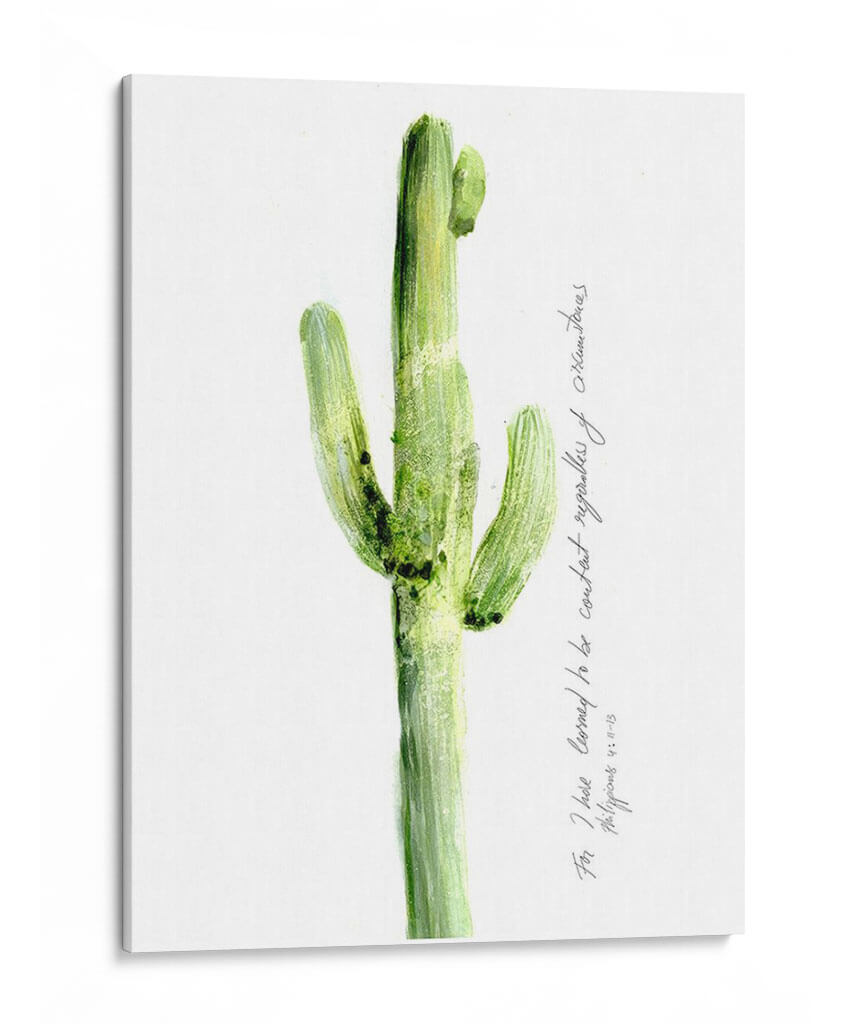 Cactus Verso V - Ingrid Blixt | Cuadro decorativo de Canvas Lab