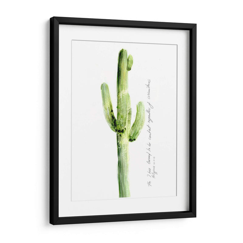 Cactus Verso V - Ingrid Blixt | Cuadro decorativo de Canvas Lab