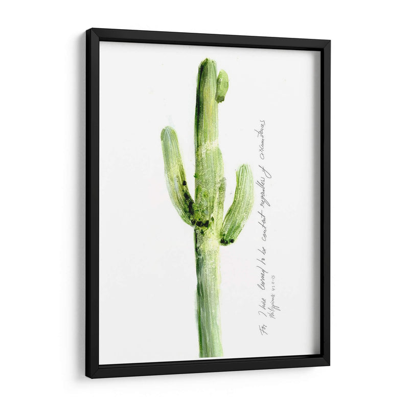 Cactus Verso V - Ingrid Blixt | Cuadro decorativo de Canvas Lab