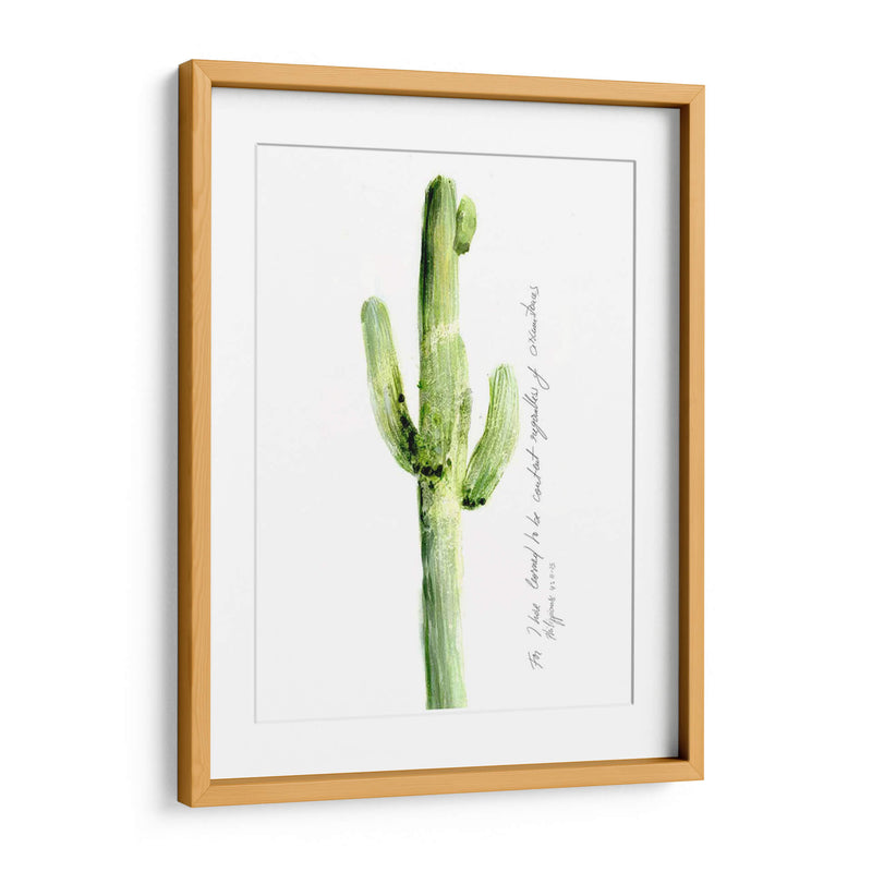 Cactus Verso V - Ingrid Blixt | Cuadro decorativo de Canvas Lab