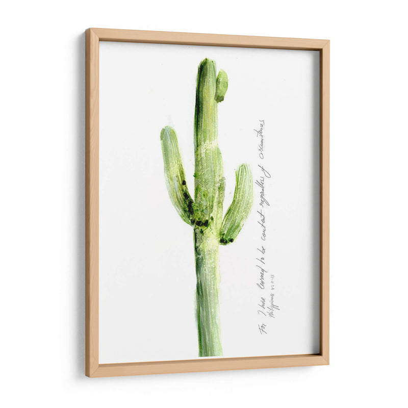 Cactus Verso V - Ingrid Blixt | Cuadro decorativo de Canvas Lab