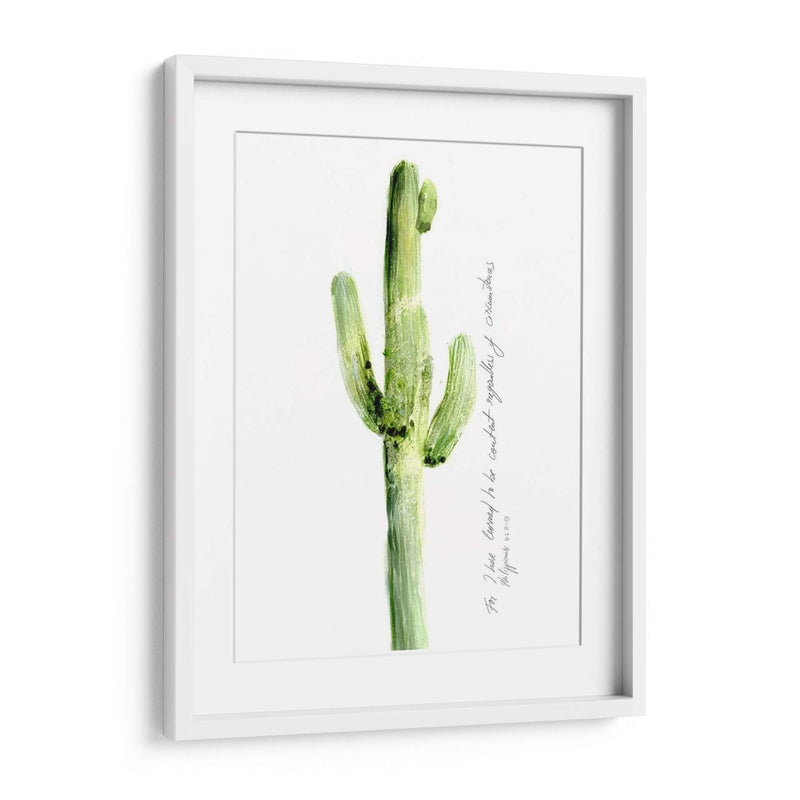 Cactus Verso V - Ingrid Blixt | Cuadro decorativo de Canvas Lab