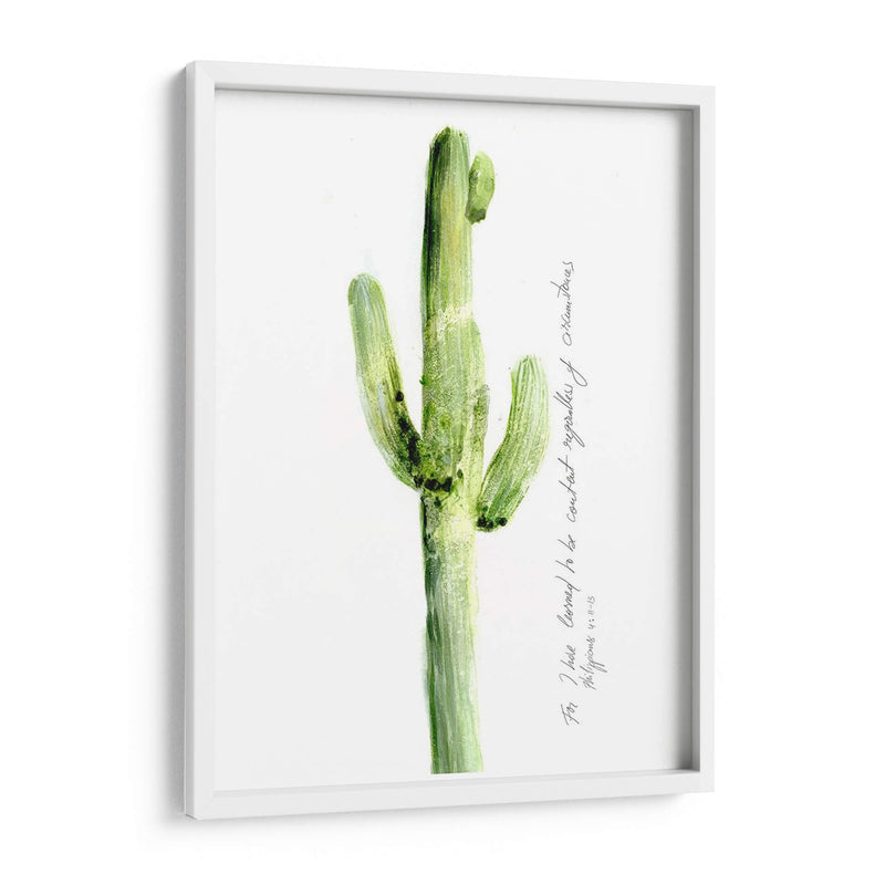 Cactus Verso V - Ingrid Blixt | Cuadro decorativo de Canvas Lab