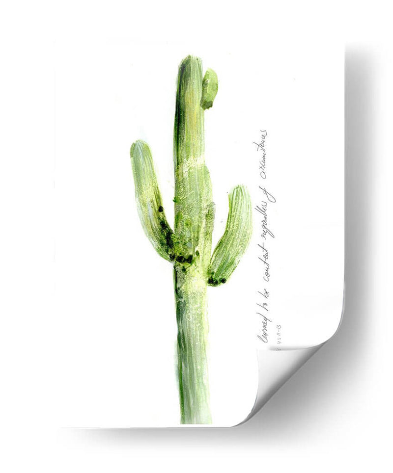 Cactus Verso V - Ingrid Blixt | Cuadro decorativo de Canvas Lab