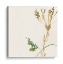 Posey Rosey I - Jennifer Goldberger | Cuadro decorativo de Canvas Lab