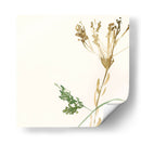Posey Rosey I - Jennifer Goldberger | Cuadro decorativo de Canvas Lab