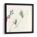Posey Rosey Iii - Jennifer Goldberger | Cuadro decorativo de Canvas Lab
