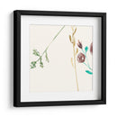 Rosey Posey Iv - Jennifer Goldberger | Cuadro decorativo de Canvas Lab