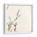 Posey Posey Vi - Jennifer Goldberger | Cuadro decorativo de Canvas Lab