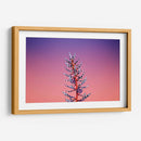 Rebelde | Cuadro decorativo de Canvas Lab