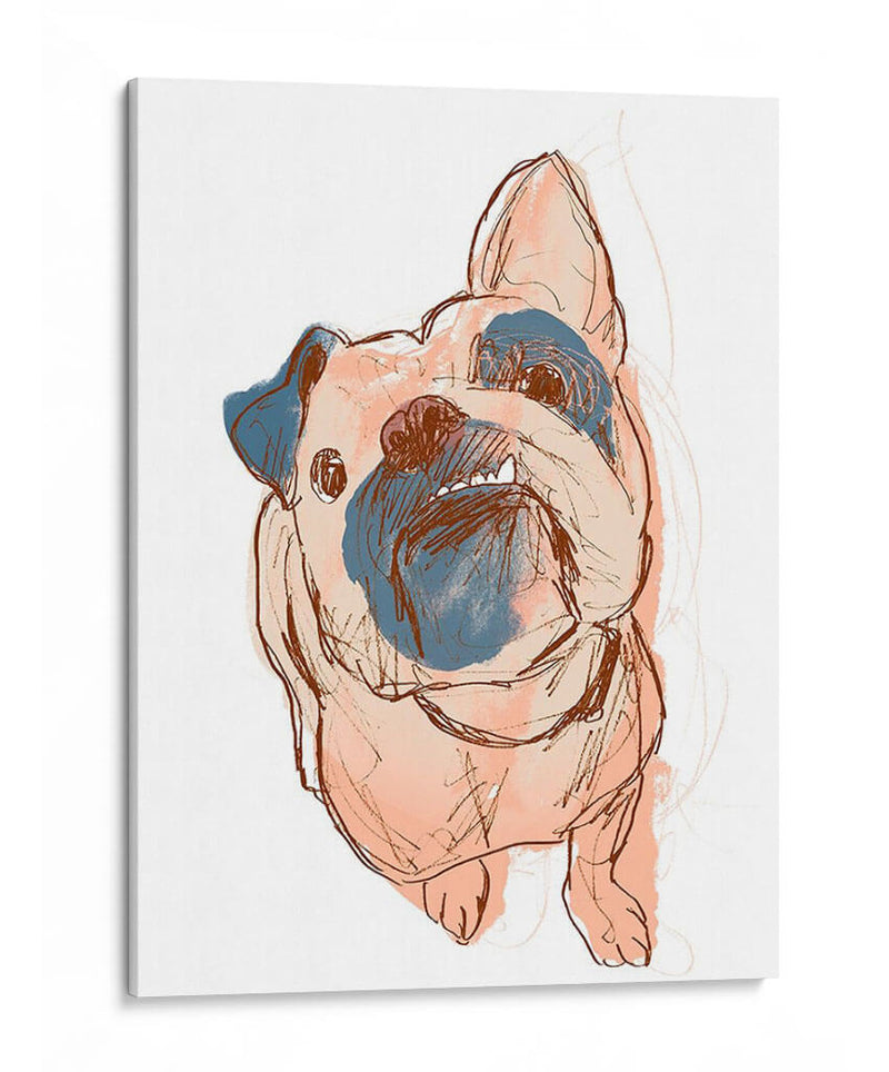 Retrato De Perro - Bobo - June Erica Vess | Cuadro decorativo de Canvas Lab