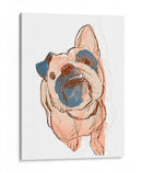 Retrato De Perro - Bobo - June Erica Vess | Cuadro decorativo de Canvas Lab
