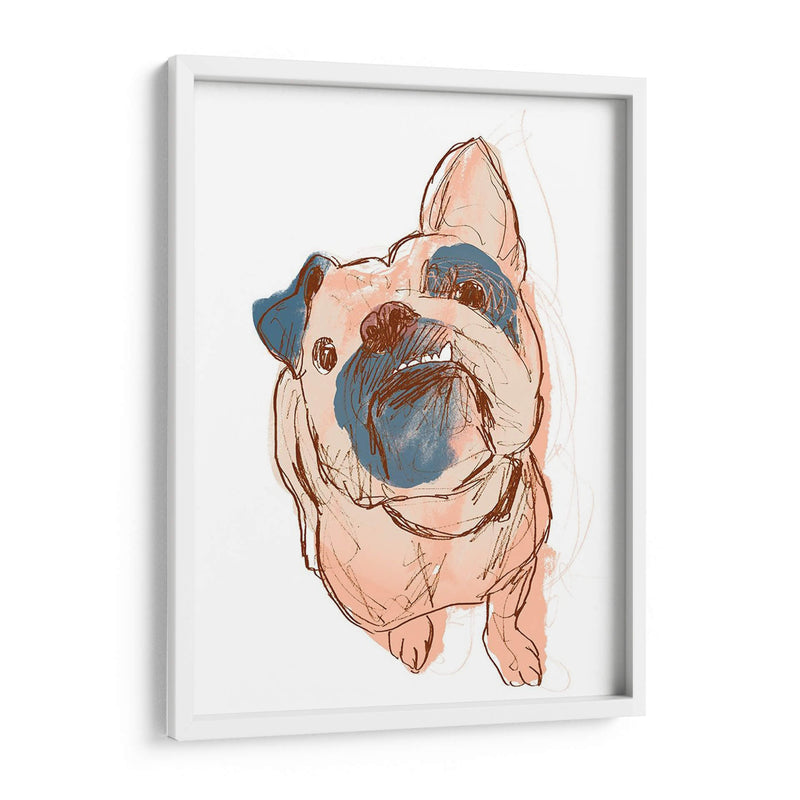 Retrato De Perro - Bobo - June Erica Vess | Cuadro decorativo de Canvas Lab